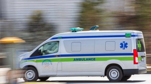 ЗӨСҮТ: Улаанбаатарт тарваган тахал өвчний тохиолдол бүртгэгдлээ